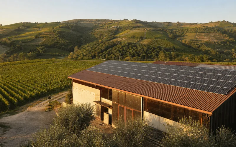 Pannelli solari su un fienile accanto ai vigneti